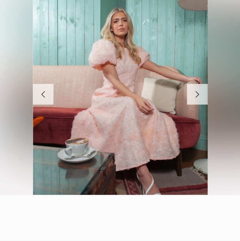 NWT $180 ALB Blush Pink Puff Sleeve Dress Size 14